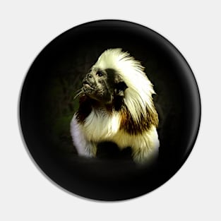 Cotton-top tamarin Pin