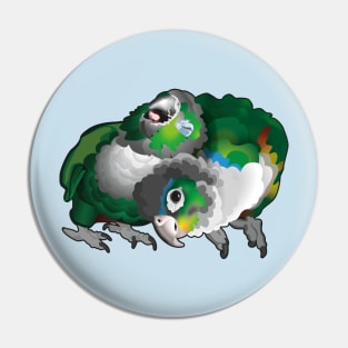 Cuddle Green Cheek Conure Pair Pin