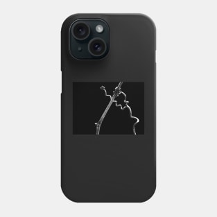 Nature's Abstract ~ The Javelin Thrower Phone Case