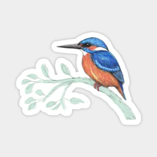 The kingfisher Magnet