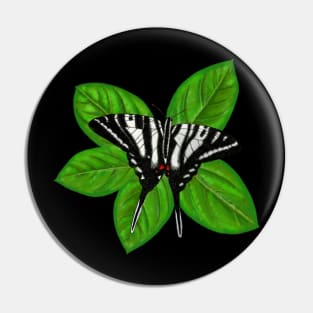 Zebra Swallowtail Butterfly Illustration Pin