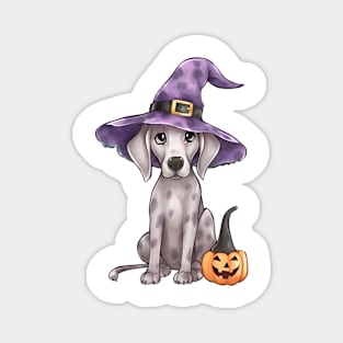 Watercolor Great Dane Dog in Witch Hat Magnet