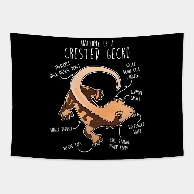 Crested Gecko Lizard Reptile Anatomy Tapestry by Psitta