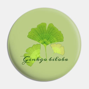 Ginkgo biloba illustration Pin