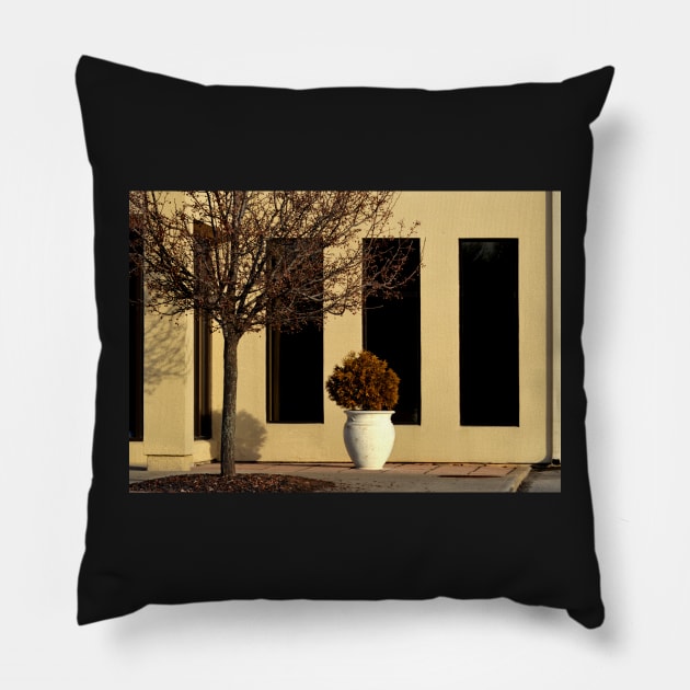 Windows + Pillow by LaurieMinor