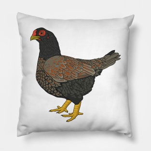 Cornish Chicken Pillow