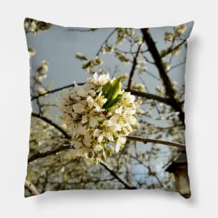 Plum Blossoms Pillow