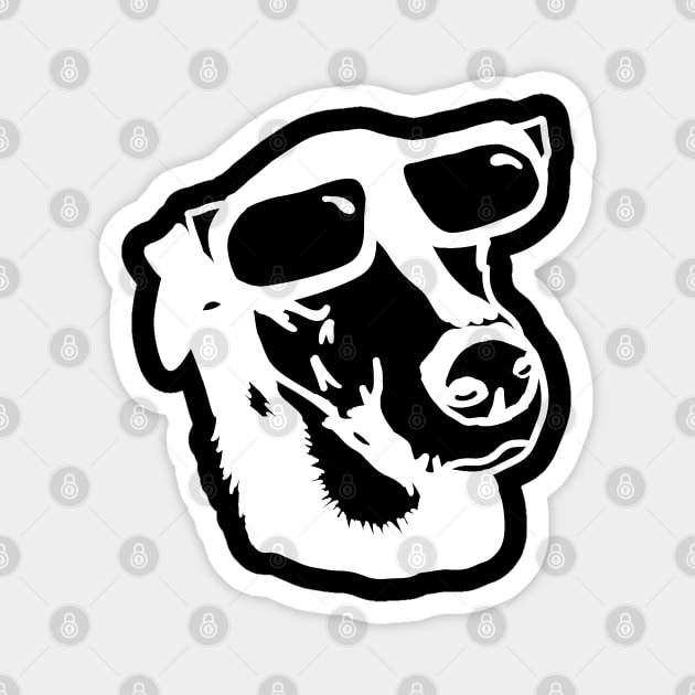 Cool dog Magnet by Antiope