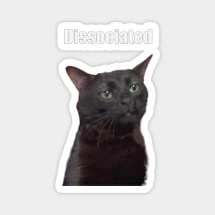 Dissociated cat meme Magnet