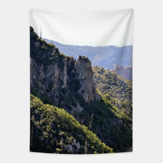 Hole in the Wall Tapestry by Drgnfly4free