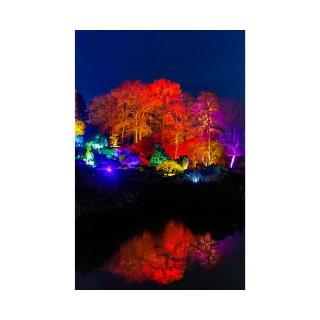 Wisley Christmas Glow by GrahamPrentice