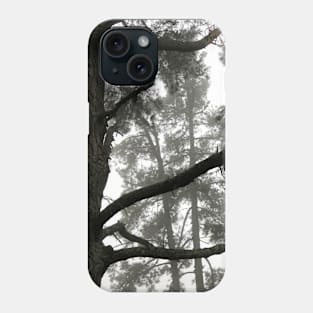 Foggy Woods - Grey Morning Fog in a Redwood Forest - Black and White Trees Phone Case