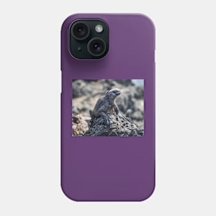 Galapagos Marine Iguana Phone Case
