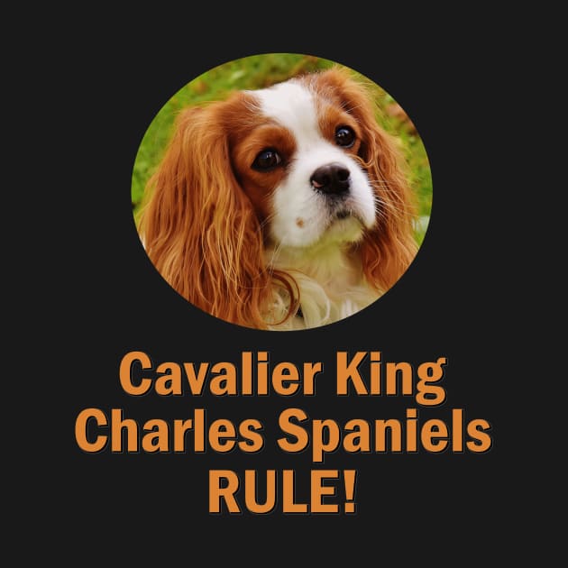 Cavalier King Charles Spaniels Rule! by Naves