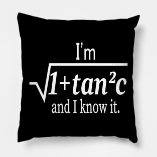 I'm Sqrt[1 + tan2 (c)] And I Know It Funny Math Pillow