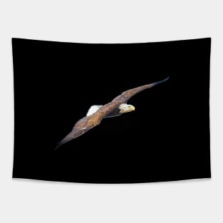 Golden Eagle Bird Animal Wildlife Forest Nature Travel Digital Painting Tapestry