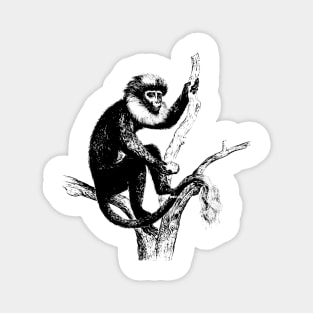 Primate Nature Drawing Magnet