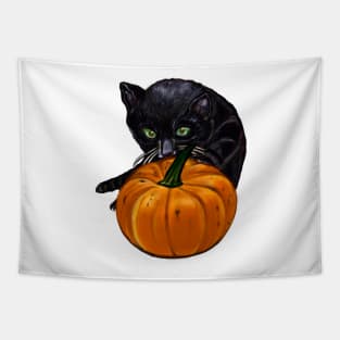 Pumpkin and black cat in Autmn Tapestry