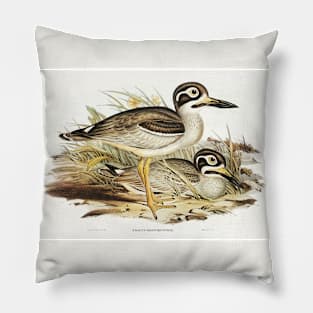 Large-billed Plover (Esacus magnirostris) Pillow