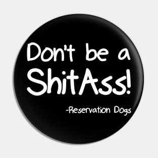 Don't be a ShitAss! Pin