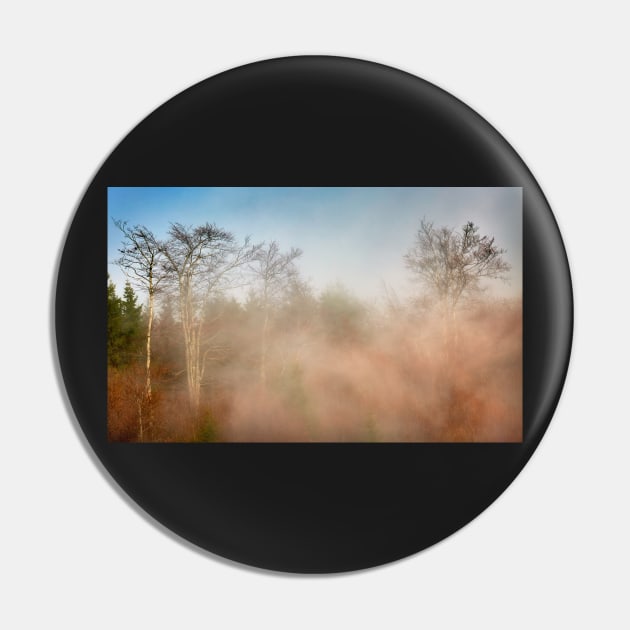 Mountain forest in fog Pin by naturalis