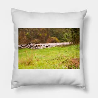 rbs high water Pillow