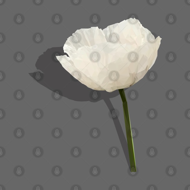 White Poppy - Symbol of Peace by ErinFCampbell