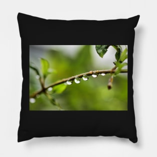 Water droplets and reflection Pillow