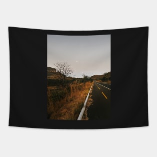 Full Moon Over Brazilian National Park (Chapada dos Veadeiros) Tapestry