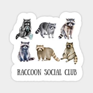 Funny Raccoon Social Club Magnet