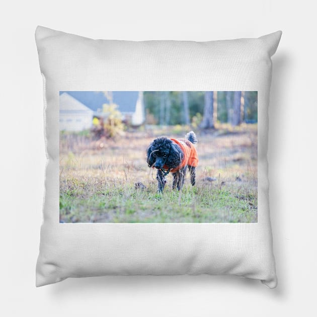 This is my yard Pillow by KensLensDesigns