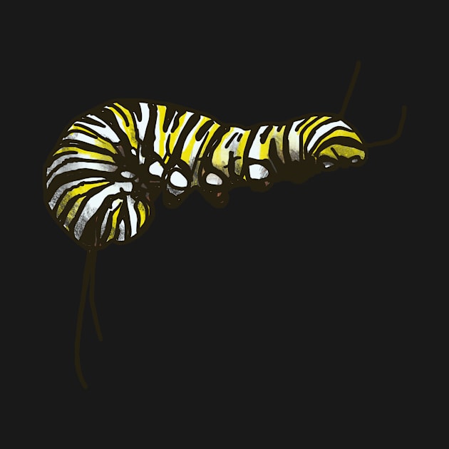 Monarch Caterpillar by shehitsback