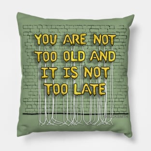 You Are Not Too Old (yellow letters) Pillow