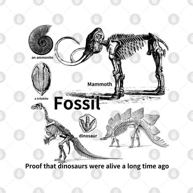 fossil, Proof that dinosaurs were alive a long time ago, dinosaur, an ammonite, a trilobite by zzzozzo