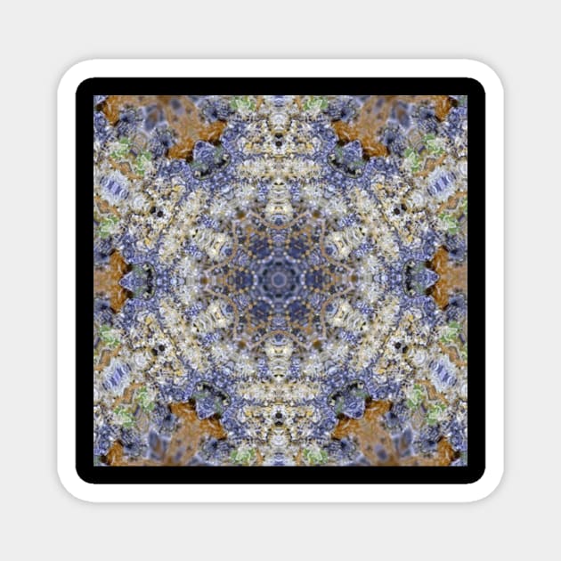 Herbal Mandala Magnet by dmorissette