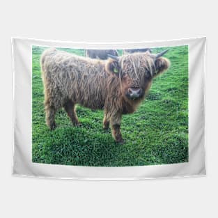 Scottish Highland Cattle Calf 2107 Tapestry