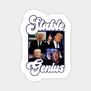 TRUMP Stable Genius Magnet