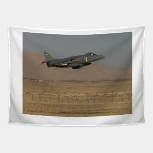 Low Level Harrier Tapestry