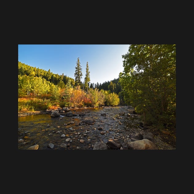 Boulder Colorado Canyon Creek Fall Foliage by WayneOxfordPh