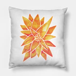 Orange Aloe Vera Pillow