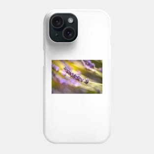 Lavender in garden Phone Case