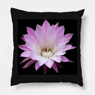 Pink Cactus in the Rain #1 Pillow