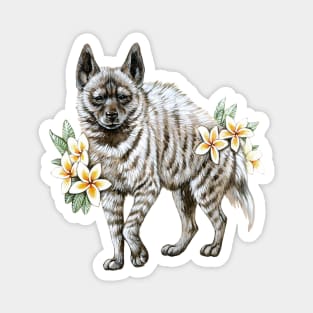 Striped Hyena with Frangipanis Magnet