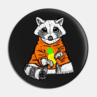 Raccoon Pin