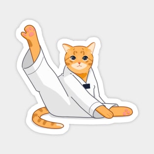 TKD Cat Magnet