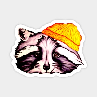 Raccoon in a Beanie Magnet