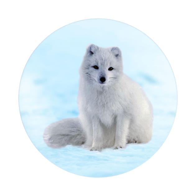 Save Arctic Fox by aklara