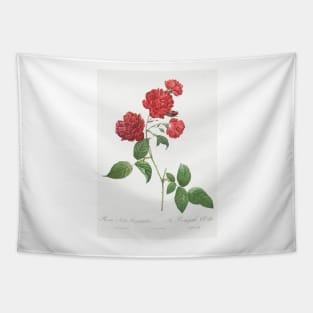 Red Cabbage Rose,  Bengal eyelet by Pierre-Joseph Redouté Tapestry