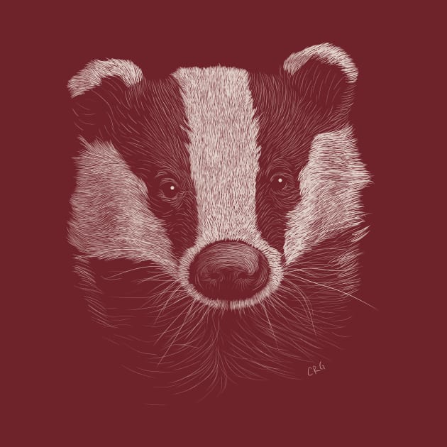 European Badger by Walking in Nature