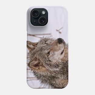 Timber Wolf Portrait Phone Case